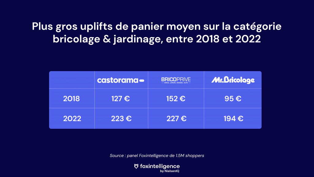 bricolage-jardinage-foxintelligence