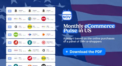 Monthly ecommerce pulse USA